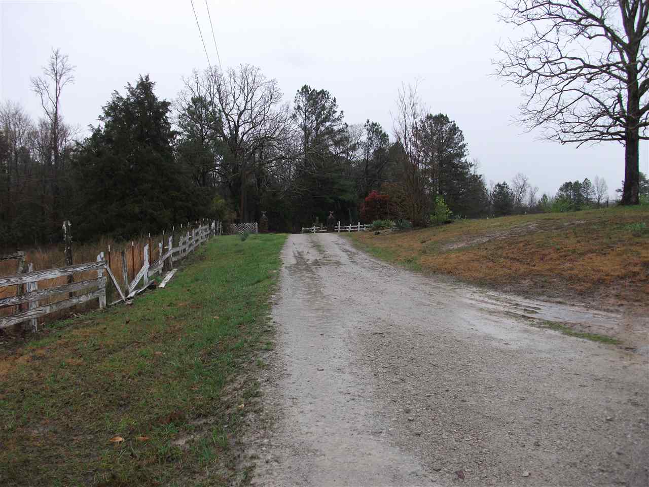 7267 Center Hill Road Finger, TN 38334 - Photo 10 of 19