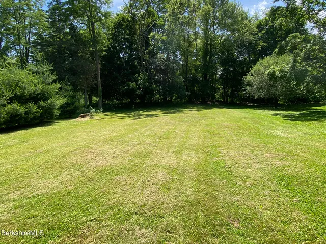 a view of a yard with a trees