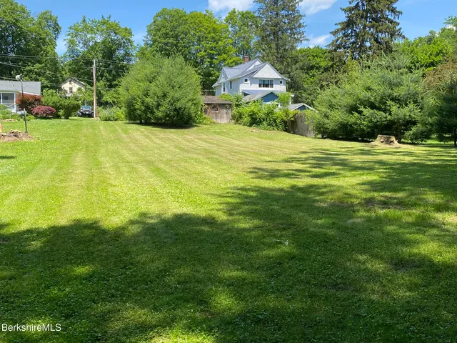 a view of a large garden with plants and large trees
