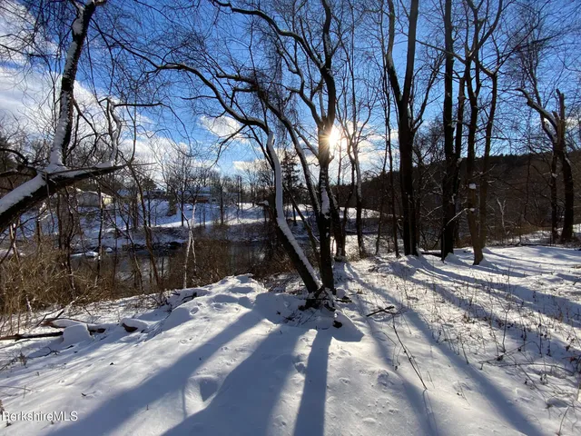 a view of a lake with a tree