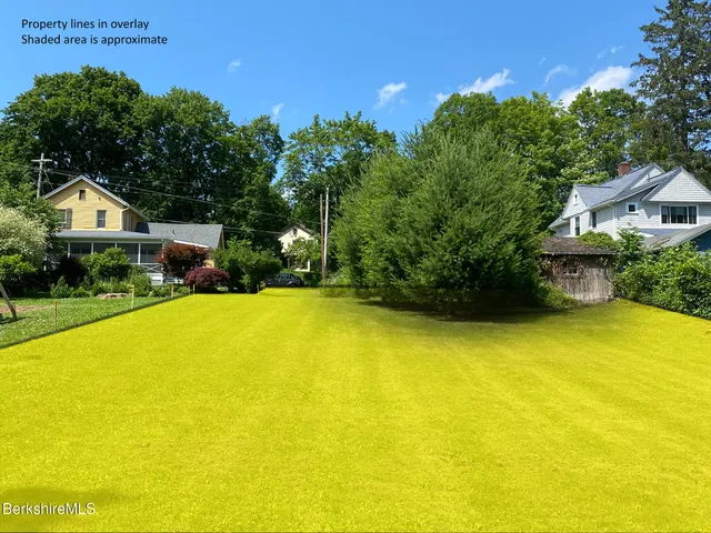 a view of a swimming pool with some plants and large trees