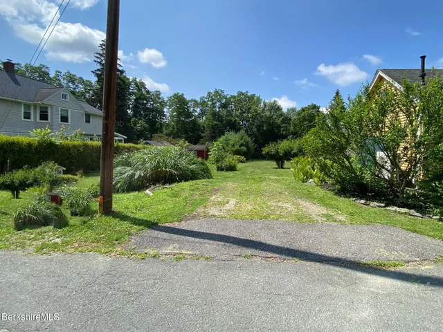a view of a yard with plants