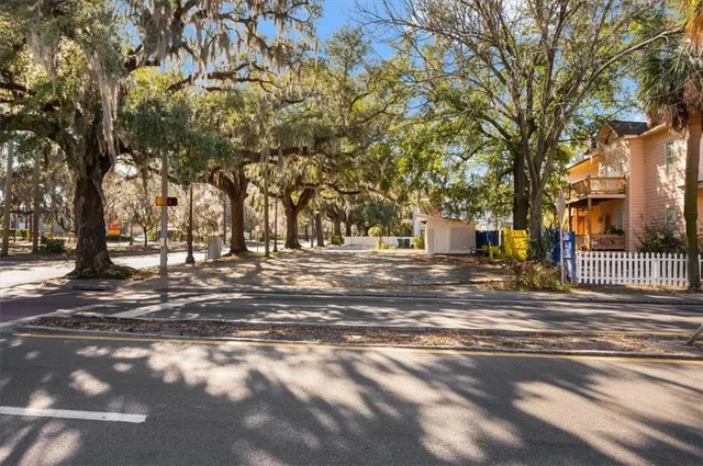 a view of park with large trees