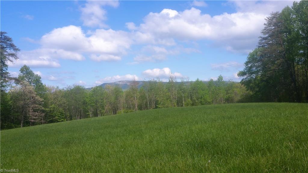 1612 Robertson Ridge Road King, NC 27021 - Photo 30 of 30