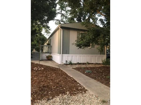a view of a backyard with a tree