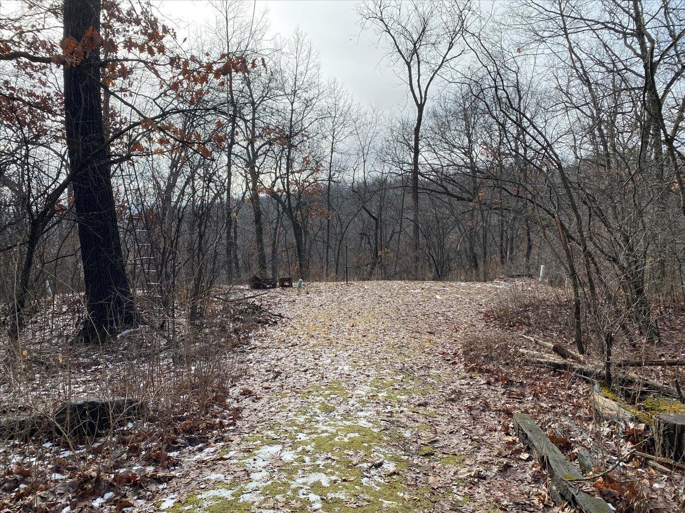 3534 Swoboda Road Verona, WI 53593 - Photo 77 of 83