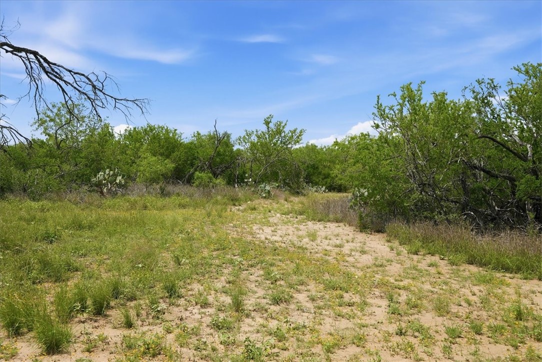140 Choke Canyon Estates Drive Three Rivers, TX 78071 - Photo 6 of 17