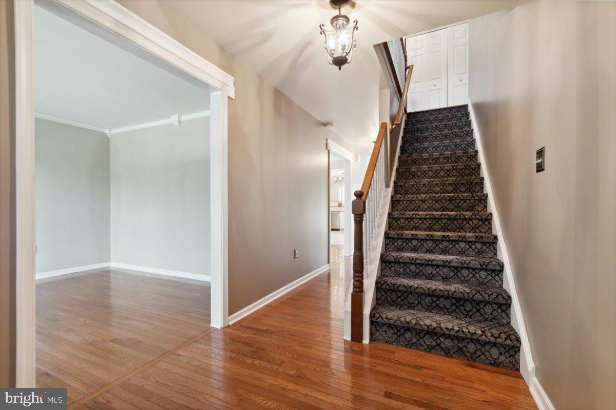 1211 Bon Air Road Havertown, PA 19083 - Photo 7 of 45 Extra wide entry, hallway & stairway