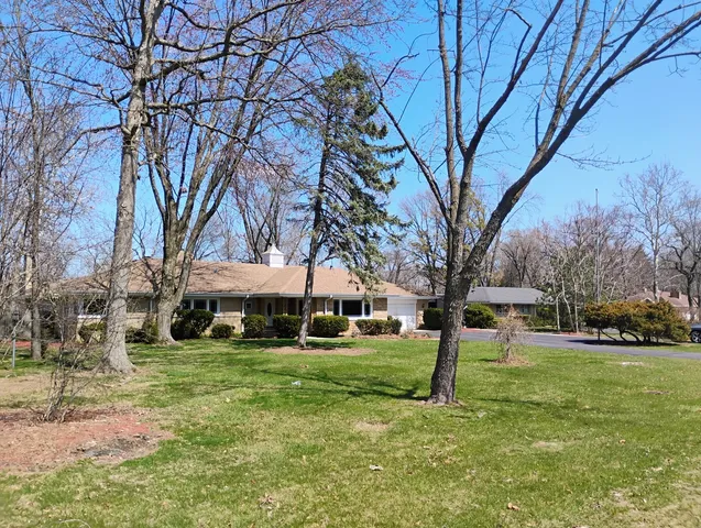 a view of a yard with plants and trees