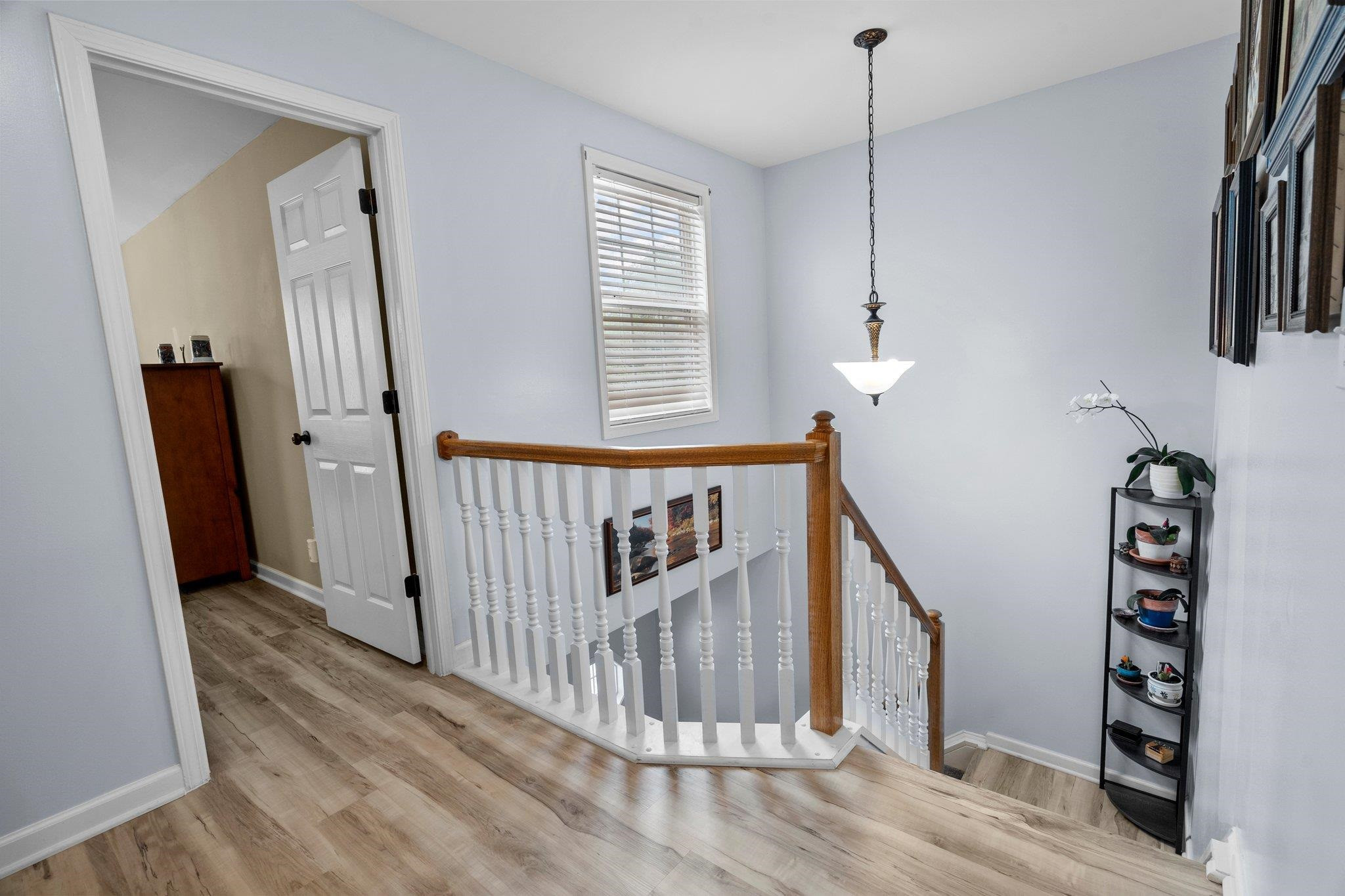 249 Inkster Cove Raleigh, NC 27603 - Photo 17 of 45 Photo 17
