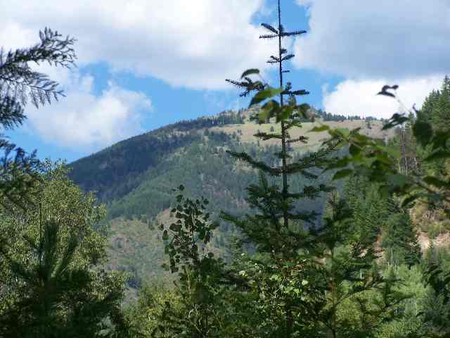 Tract B Tract B Sullivan Lake Road Ione, WA 99139 - Photo 2 of 8 Gallery Image 2