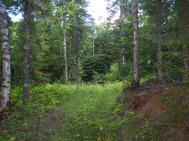 Tract B Tract B Sullivan Lake Road Ione, WA 99139 - Photo 6 of 8 Gallery Image 6