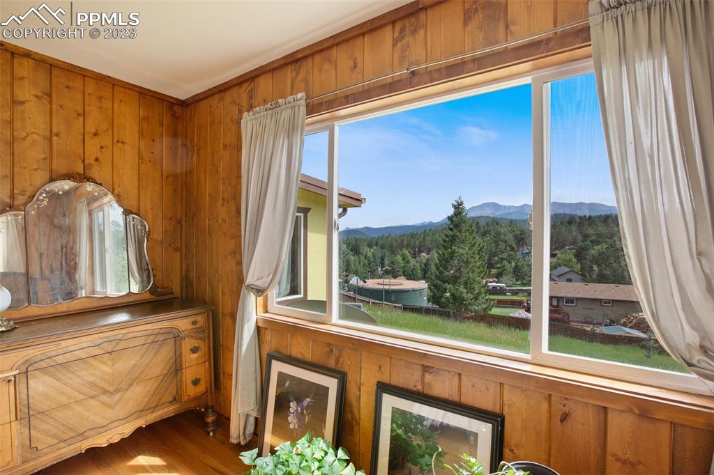 321 Dewell Road Woodland Park, CO 80863 - Photo 28 of 32 a view of a door and a front door