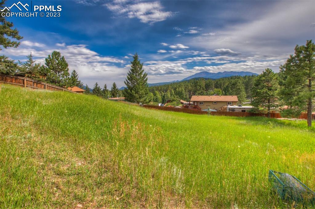 321 Dewell Road Woodland Park, CO 80863 - Photo 30 of 32 a view of yard with swimming pool and green space
