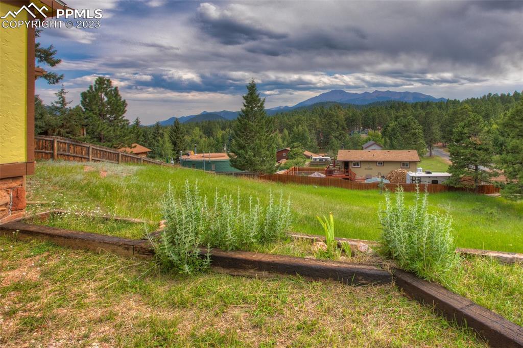 321 Dewell Road Woodland Park, CO 80863 - Photo 8 of 32 a view of a lake with houses in the back
