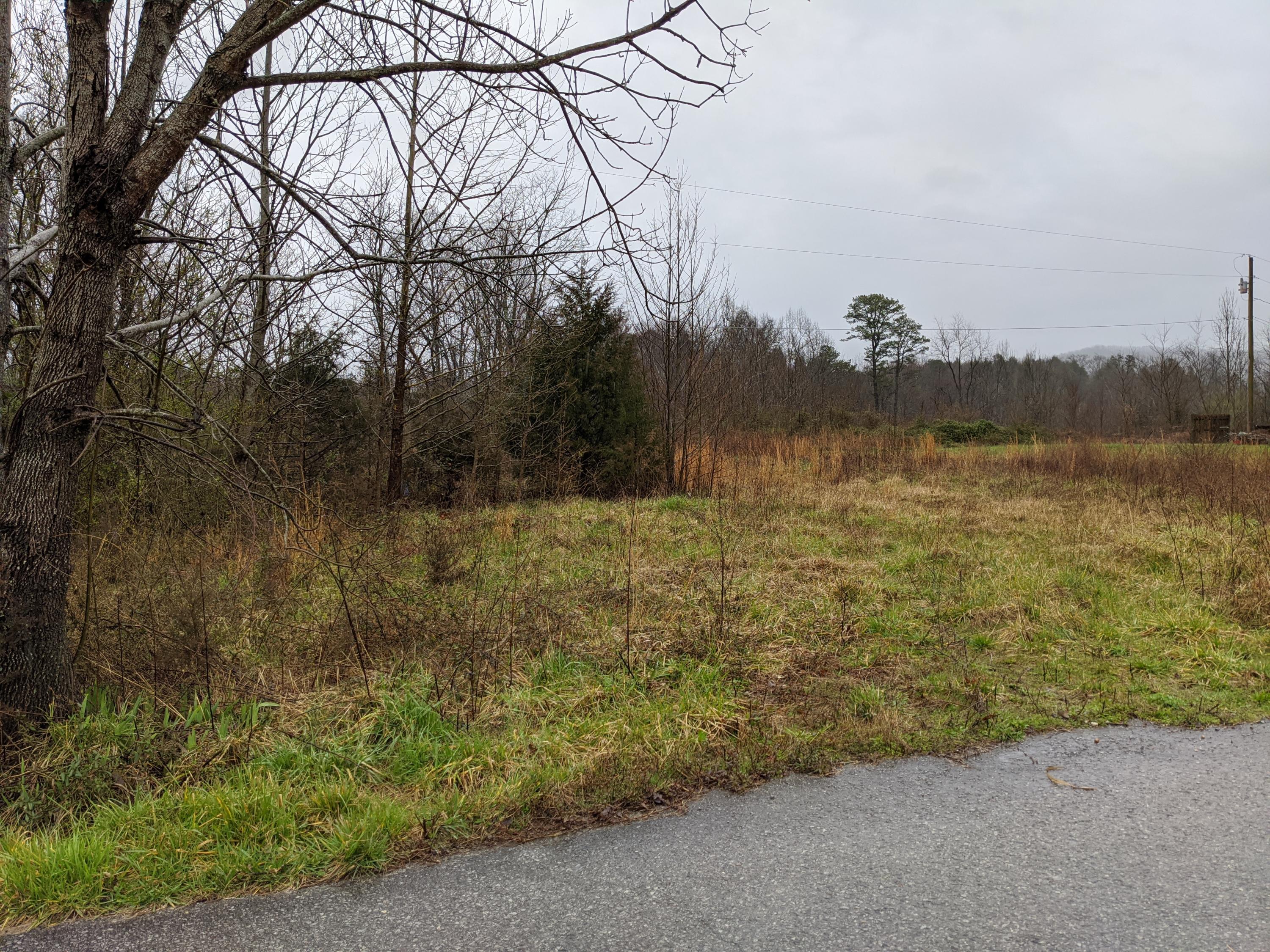 Tbd Dunham Road Chuckey, TN 37641 - Photo 1 of 2 Dunham Photo#1