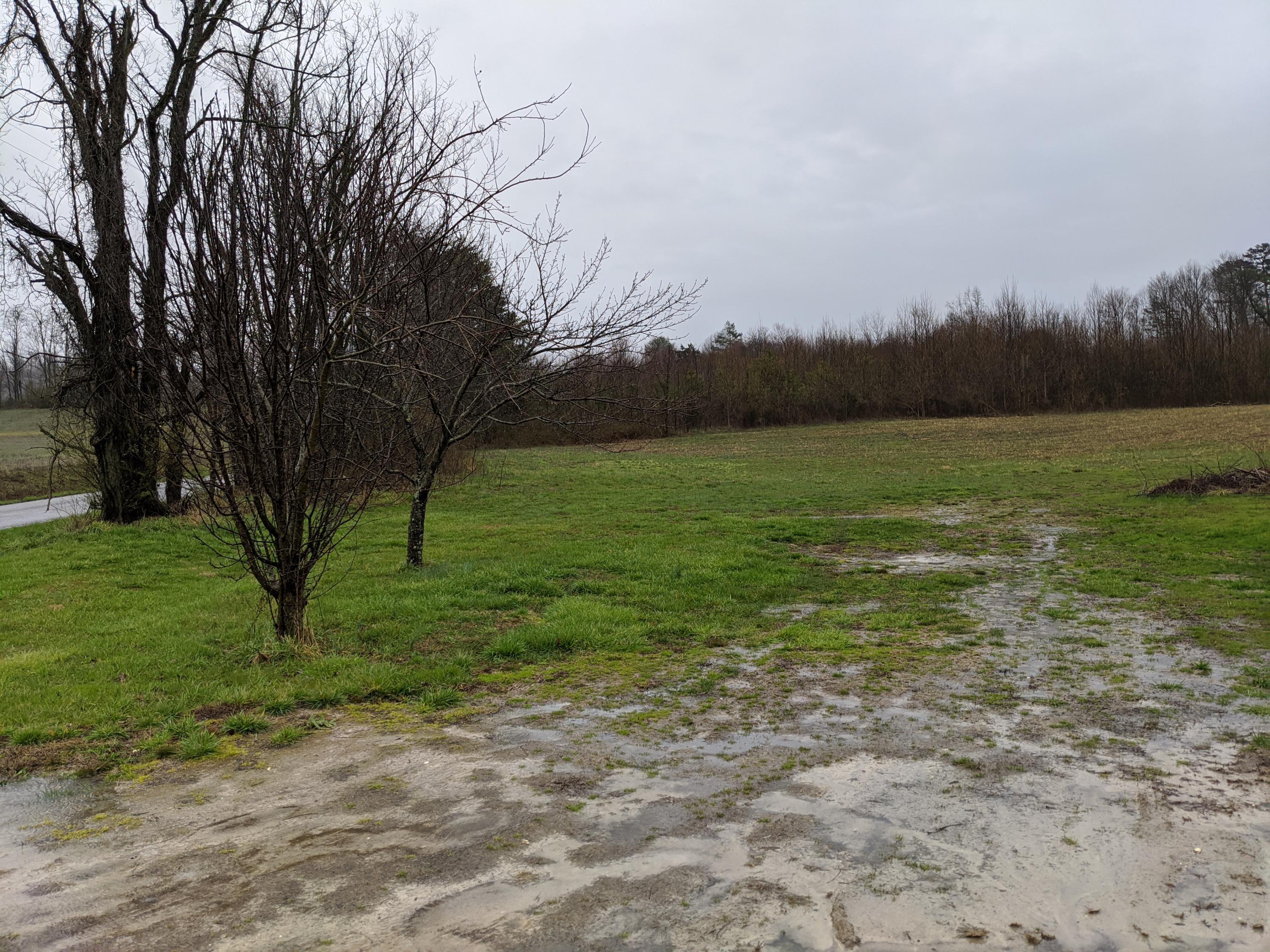 Tbd Dunham Road Chuckey, TN 37641 - Photo 2 of 2 Dunham Photo#2