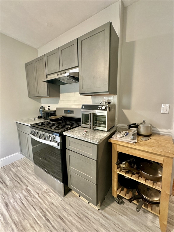 8 Parkton Road, Unit 1 Boston, MA 02130 - Photo 4 of 11