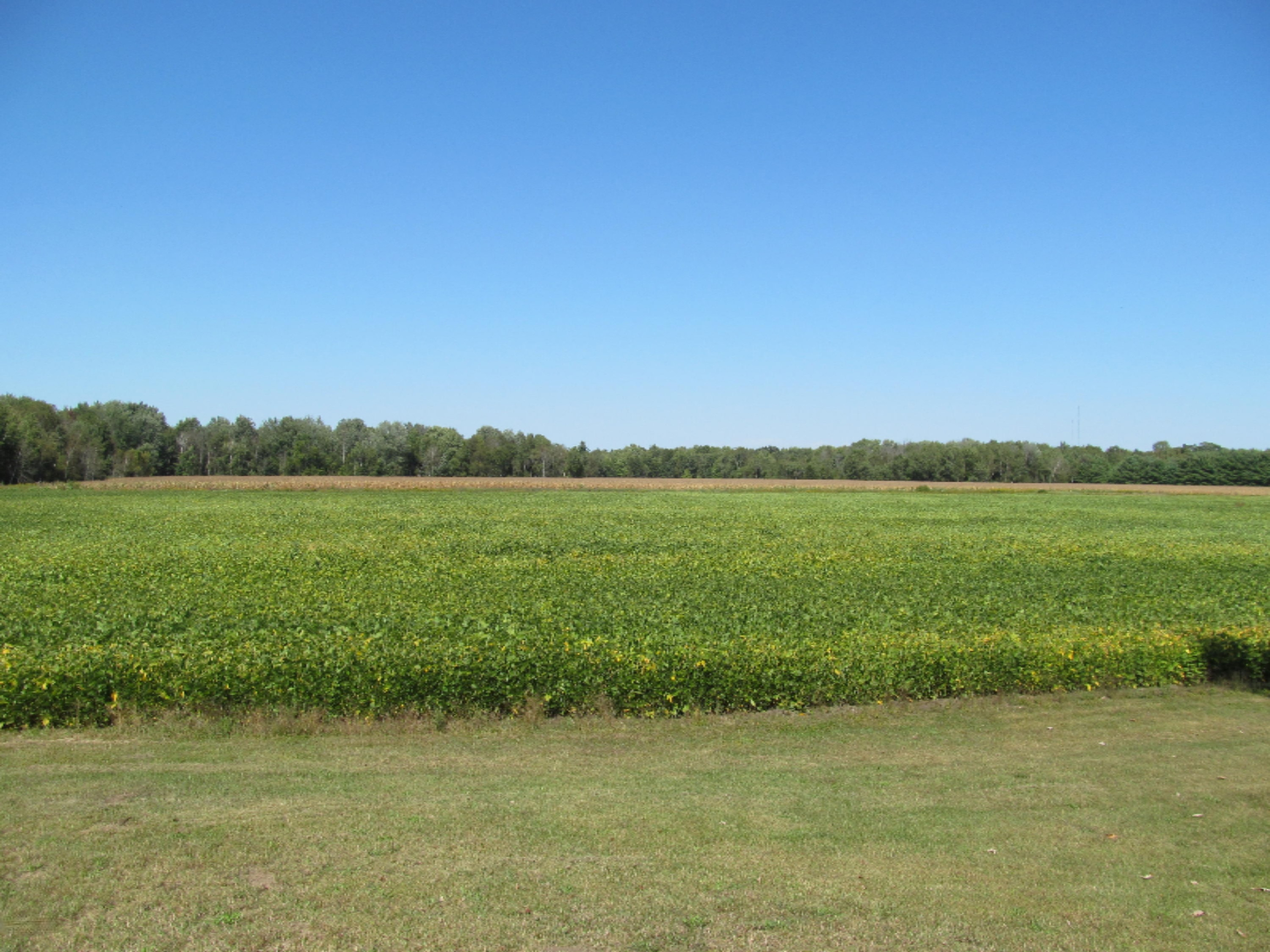 12058 Bailey Road Ravenna, MI 49451 - Photo 2 of 15 10