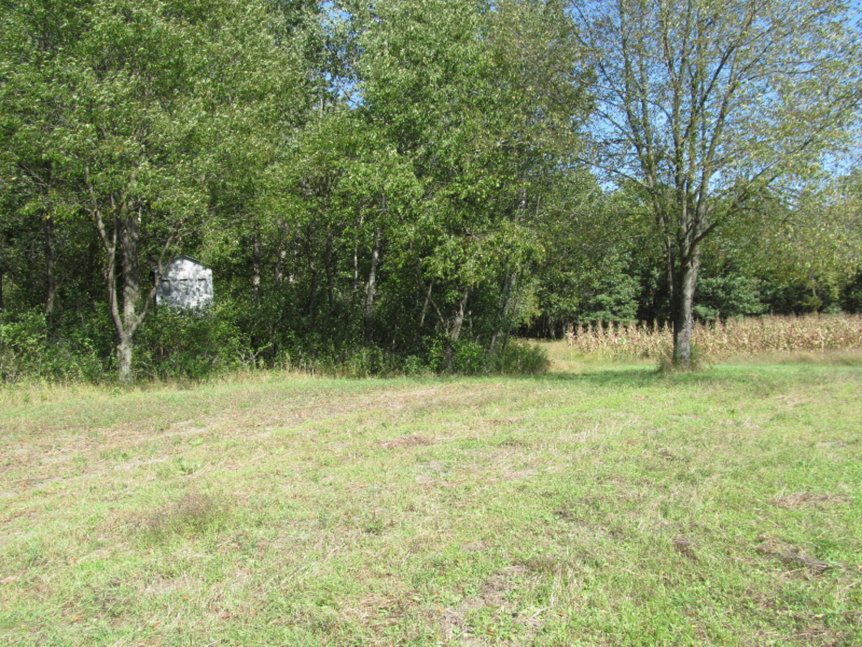 12058 Bailey Road Ravenna, MI 49451 - Photo 3 of 15 12