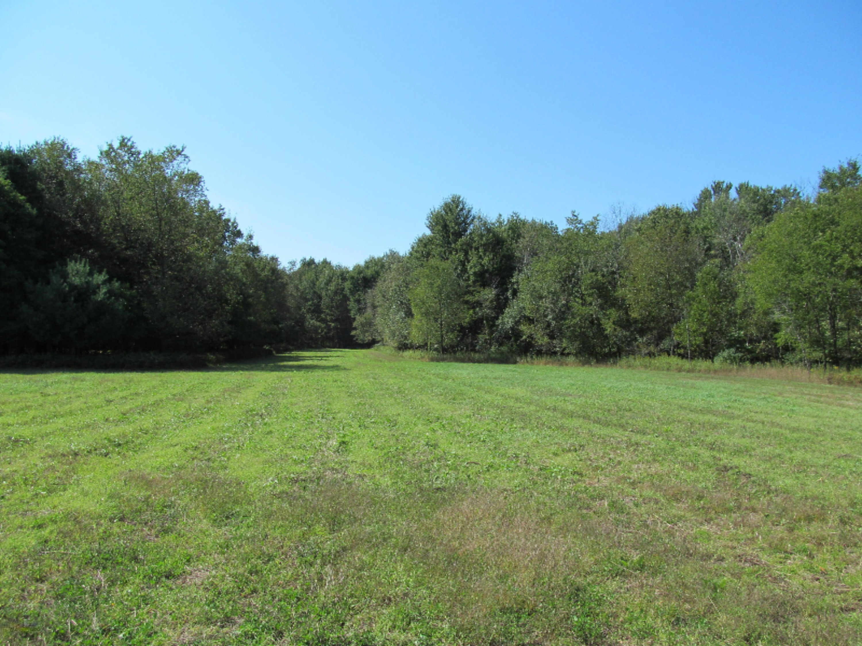 12058 Bailey Road Ravenna, MI 49451 - Photo 4 of 15 11