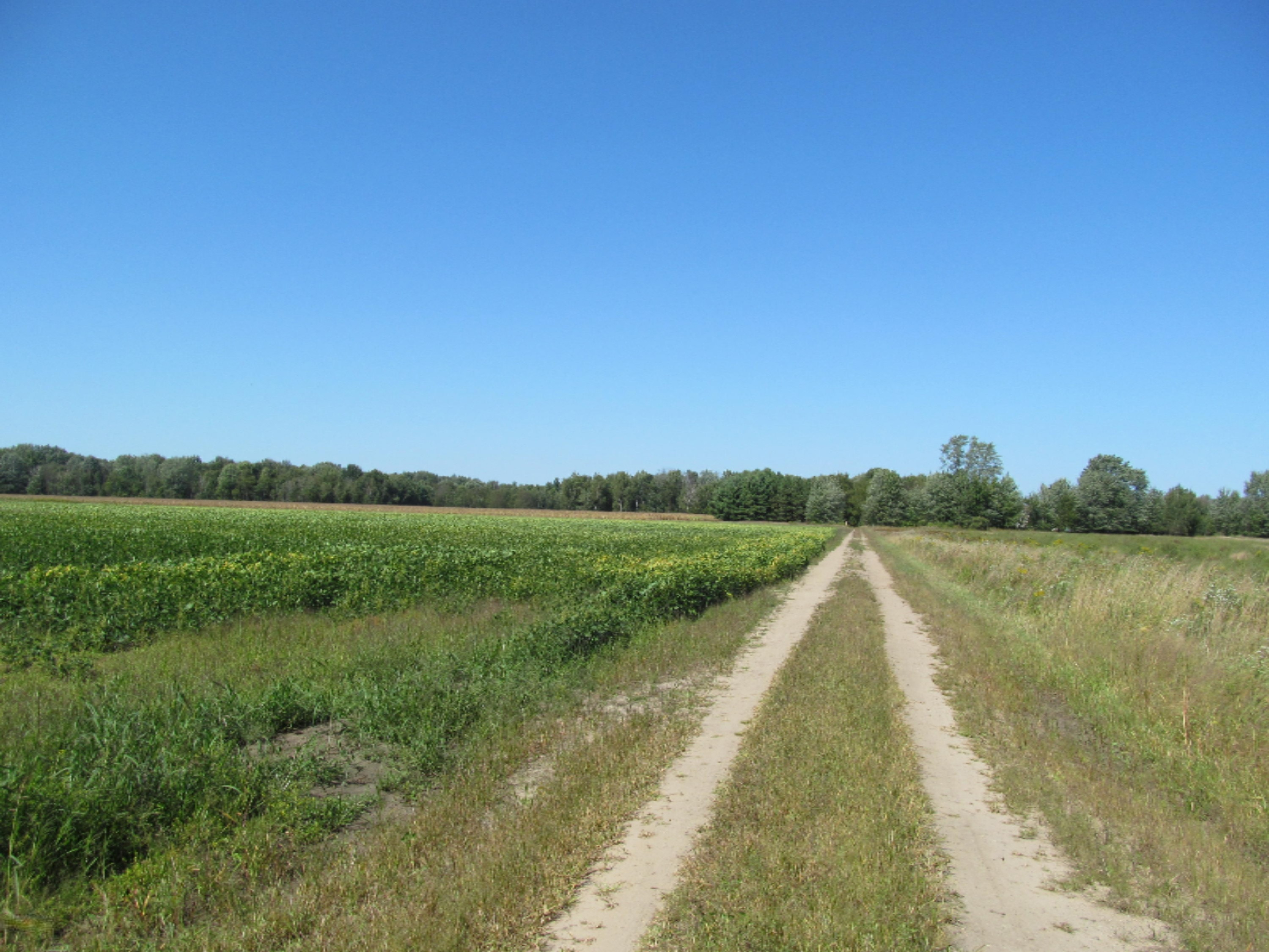 12058 Bailey Road Ravenna, MI 49451 - Photo 5 of 15 14