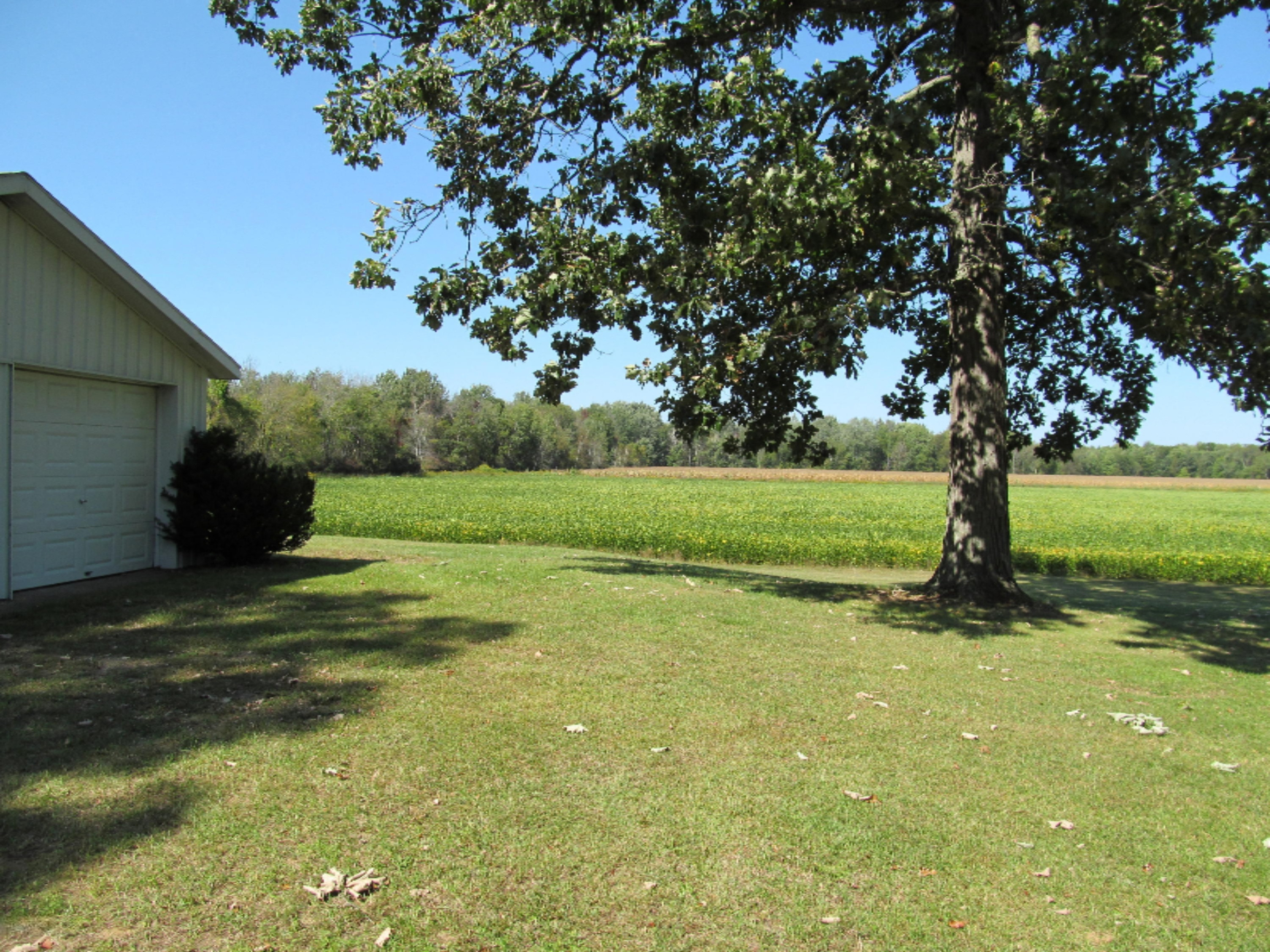 12058 Bailey Road Ravenna, MI 49451 - Photo 10 of 15 9