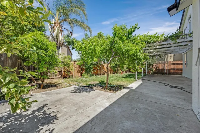 a view of a dry backyard with plants