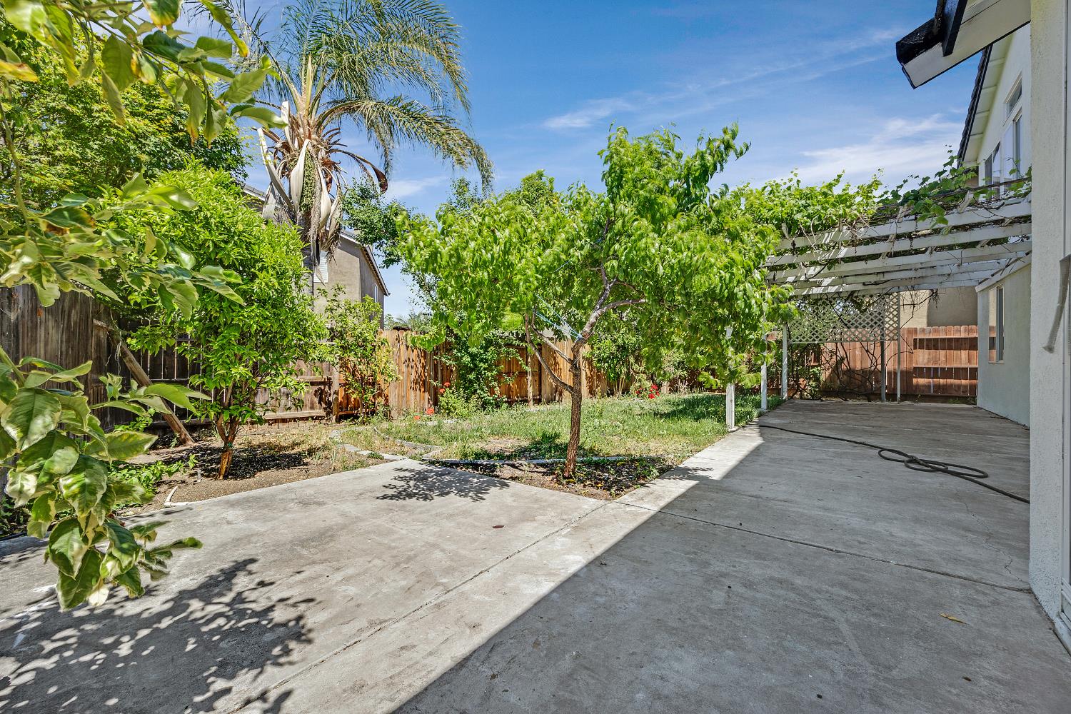 2963 Rugby Court Tracy, CA 95377 - Photo 38 of 40 a view of a dry backyard with plants