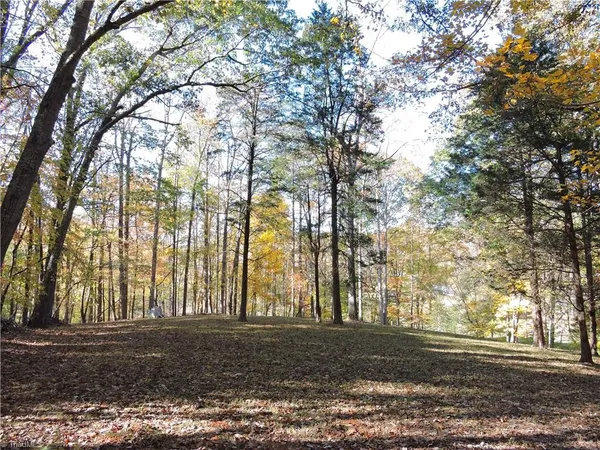 $749,000 | 1270 Holder Acres Trail, Lewisville, NC 27023
