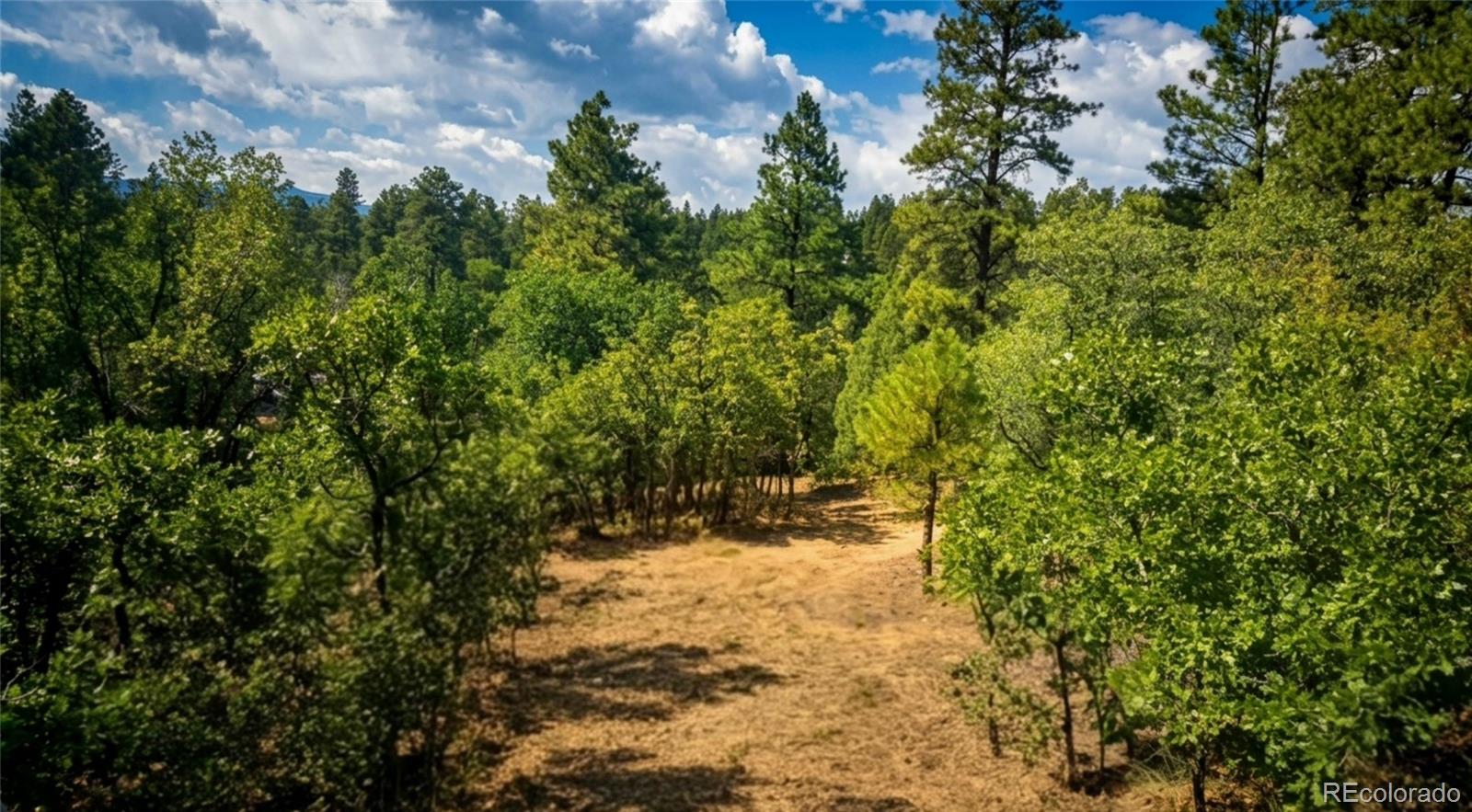 87 Crooked Road Pagosa Springs, CO 81147 - Photo 29 of 34 Gallery Image 29