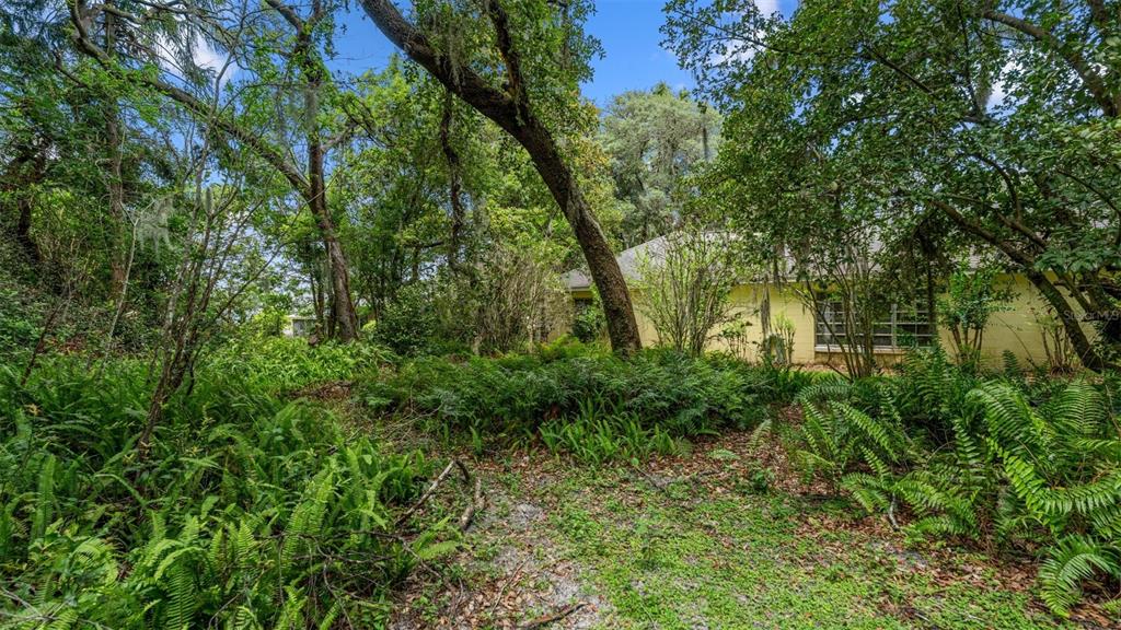 1237 Cardinal Lane DeLand, FL 32720 - Photo 76 of 83