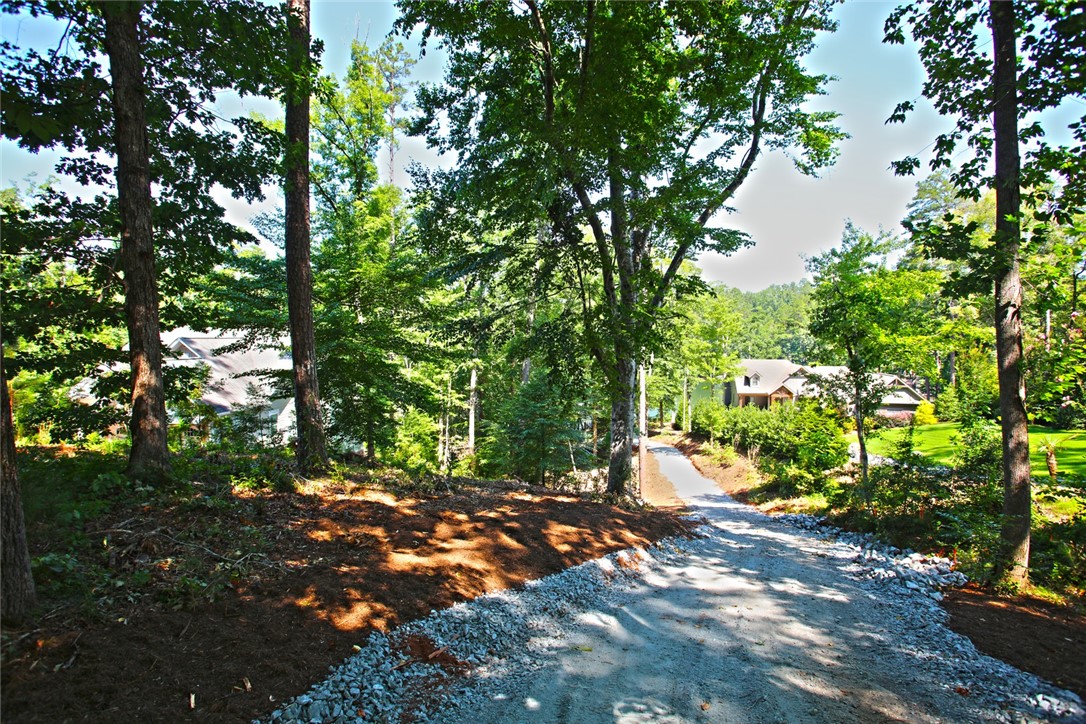 1359 Hbr Rdg Road Seneca, SC 29672 - Photo 10 of 39 A secluded gravel driveway leads through a lush, tree-filled landscape to a charming residence.