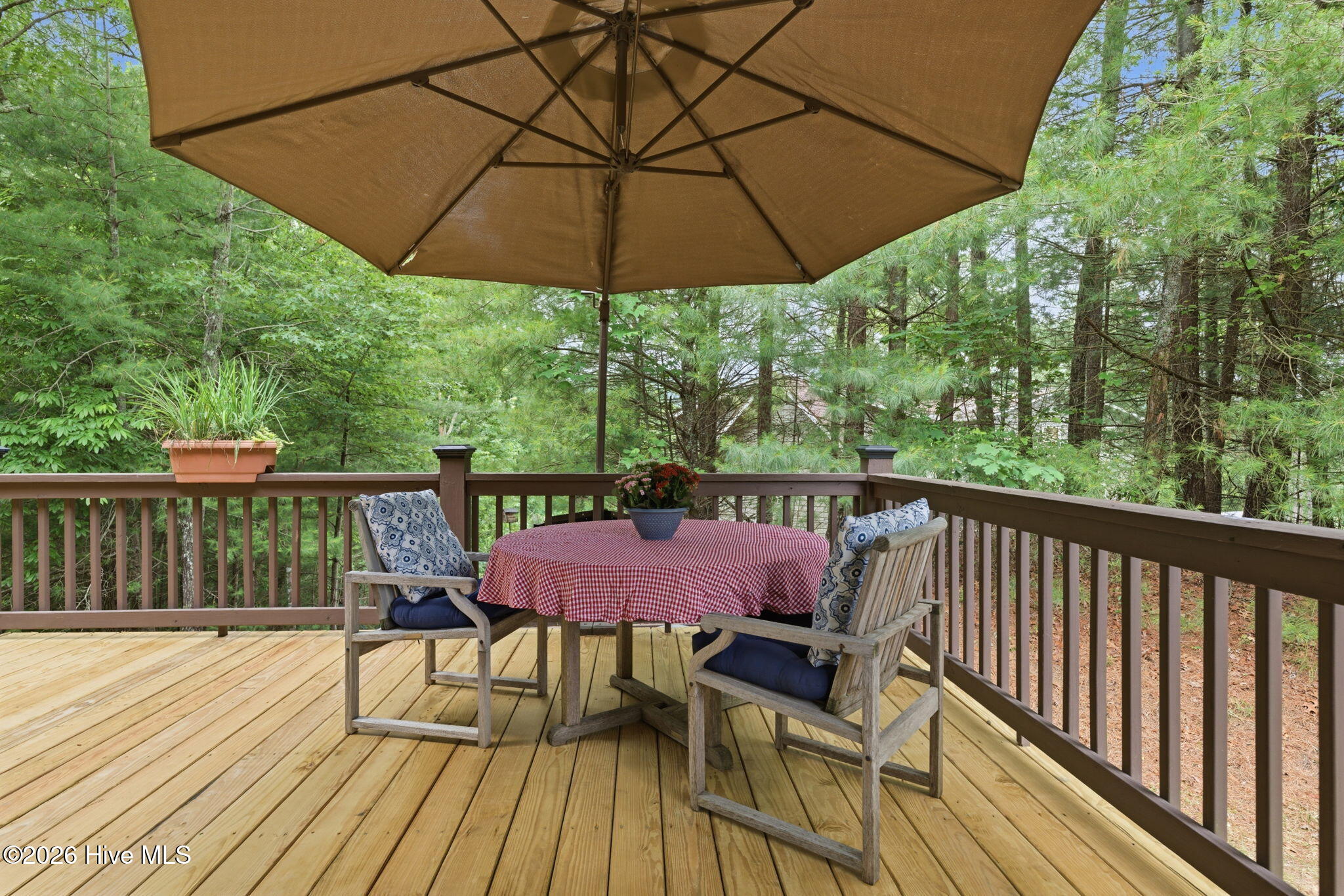 310 Rising Fawn Lane Murphy, NC 28906 - Photo 14 of 59