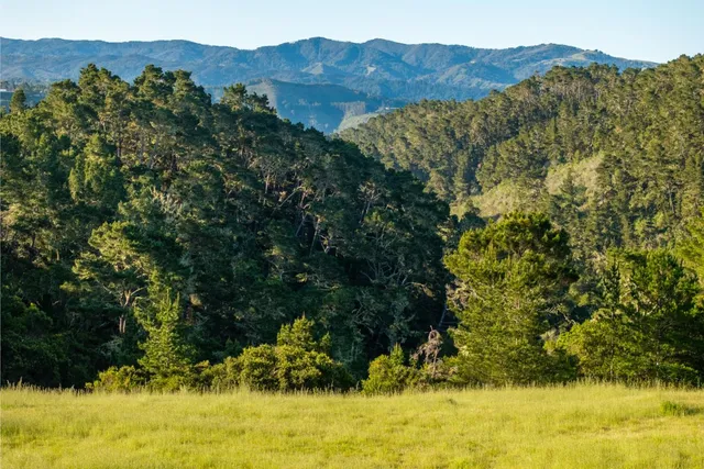 a view of a lake with a mountain