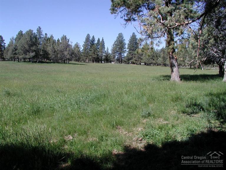 61050 Larsen Road Bend, OR 97702 - Photo 4 of 15 a view of a grassy field with trees