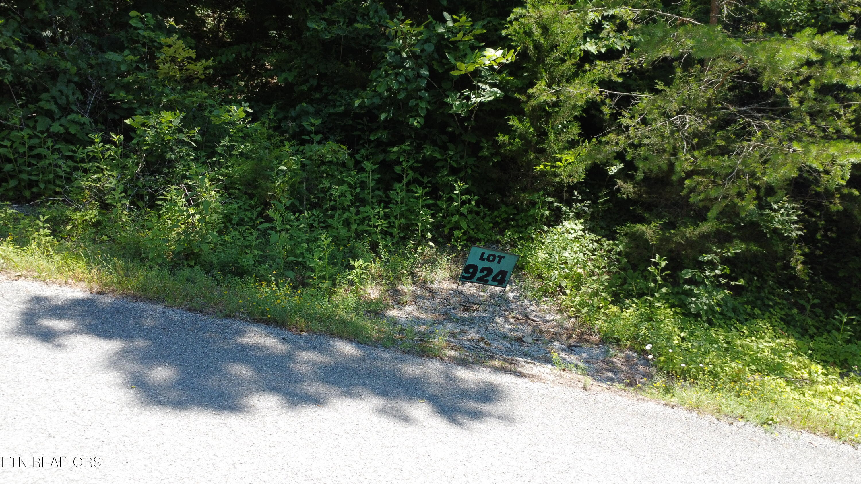 Larayne Hollow Road, Unit 924 Sharps Chapel, TN 37866 - Photo 7 of 21 Lot 924