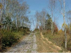 0 Drinnon Road Eidson, TN 37731 - Photo 8 of 9 Photo 8