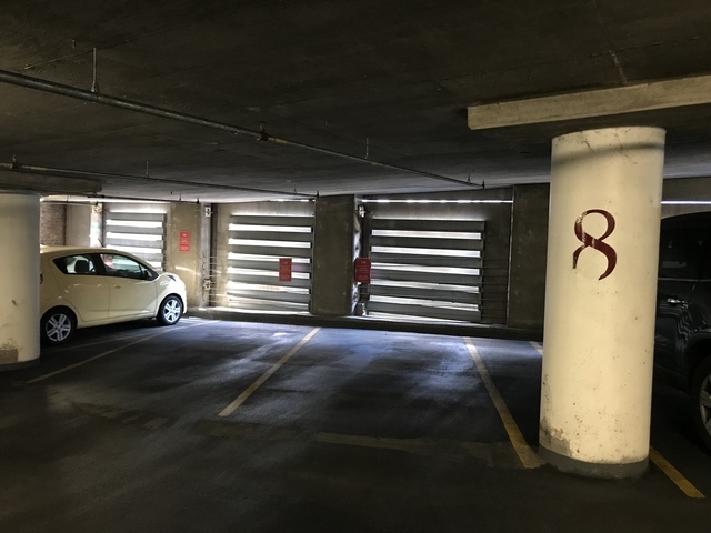 474 North Lake Shore Dr Unit P249  