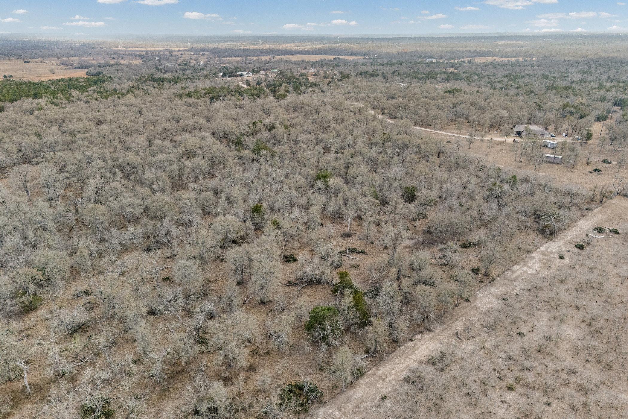 Tbd Sneed Lane Dale, TX 78616 - Photo 12 of 17 a view of a dry yard with trees