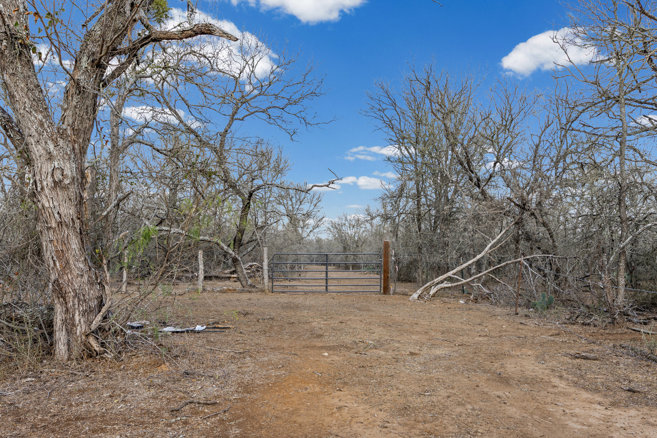 Tbd Sneed Lane Dale, TX 78616 - Photo 2 of 17 a view of backyard with wooden fence and large trees
