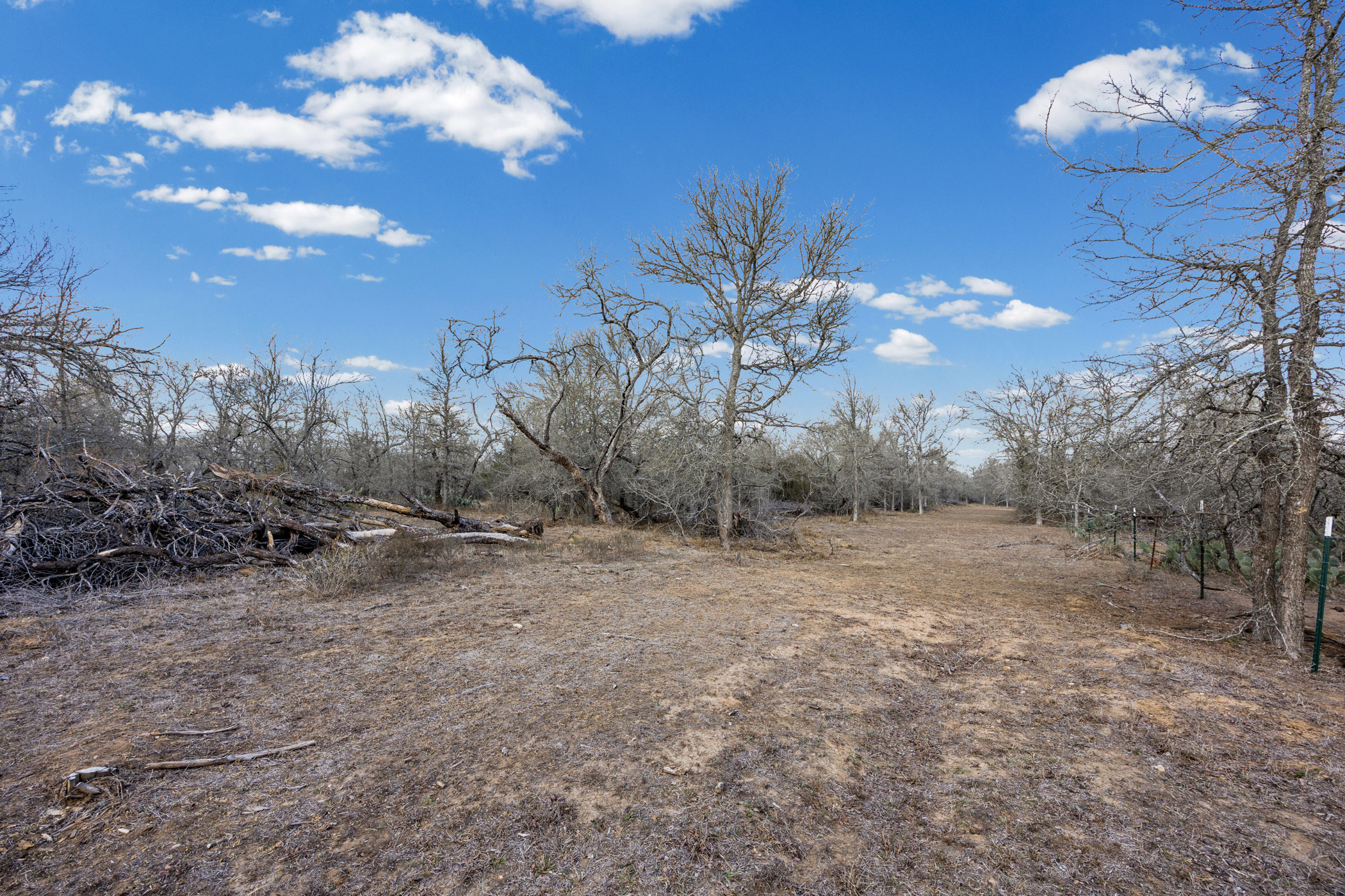 Tbd Sneed Lane Dale, TX 78616 - Photo 5 of 17 a view of a yard in a yard