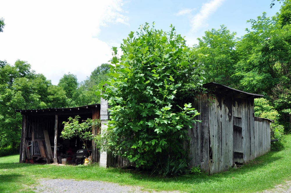 69 Ridge View Lane Sandstone, WV 25985 - Photo 47 of 63 Gallery Image 47