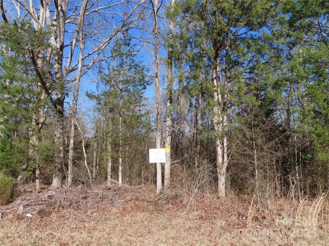 $534,425 | Lot 2 Winter Road, Unit 2, Rock Hill, SC 29730