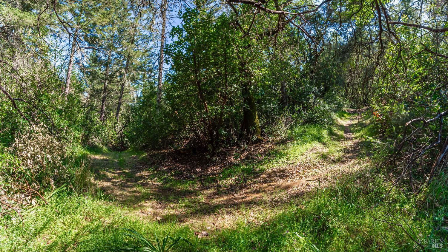 0 Dry Creek Road Napa, CA 94558 - Photo 67 of 98
