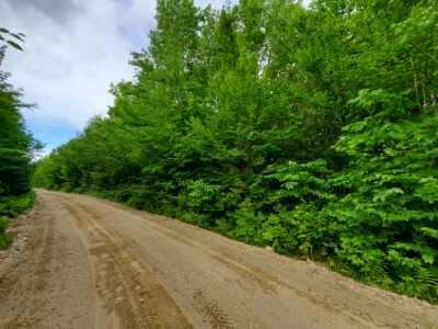 Lot 48-1 Fire Road Houlton, ME 04730 - Photo 4 of 17 0038E554-2577-407B-8B4F-31A3AE2AECA5