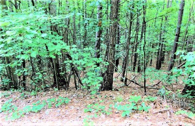 0 Chasewood Drive, Unit 13 Rutherfordton, NC 28139 - Photo 2 of 16