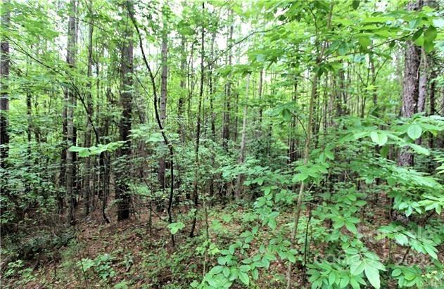 0 Chasewood Drive, Unit 13 Rutherfordton, NC 28139 - Photo 4 of 16