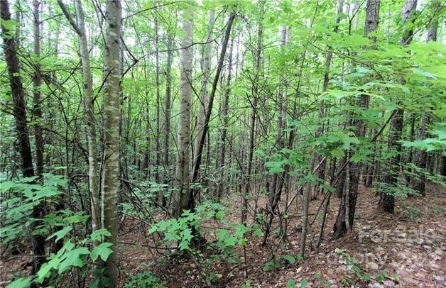 0 Chasewood Drive, Unit 13 Rutherfordton, NC 28139 - Photo 6 of 16