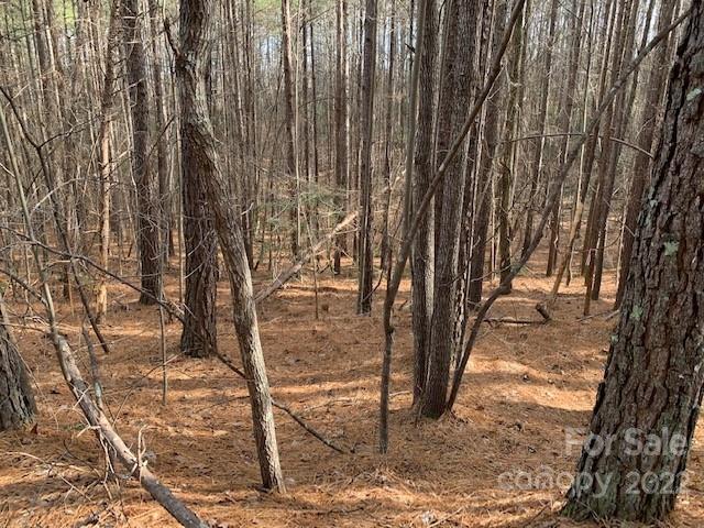 0 Chasewood Drive, Unit 13 Rutherfordton, NC 28139 - Photo 7 of 16